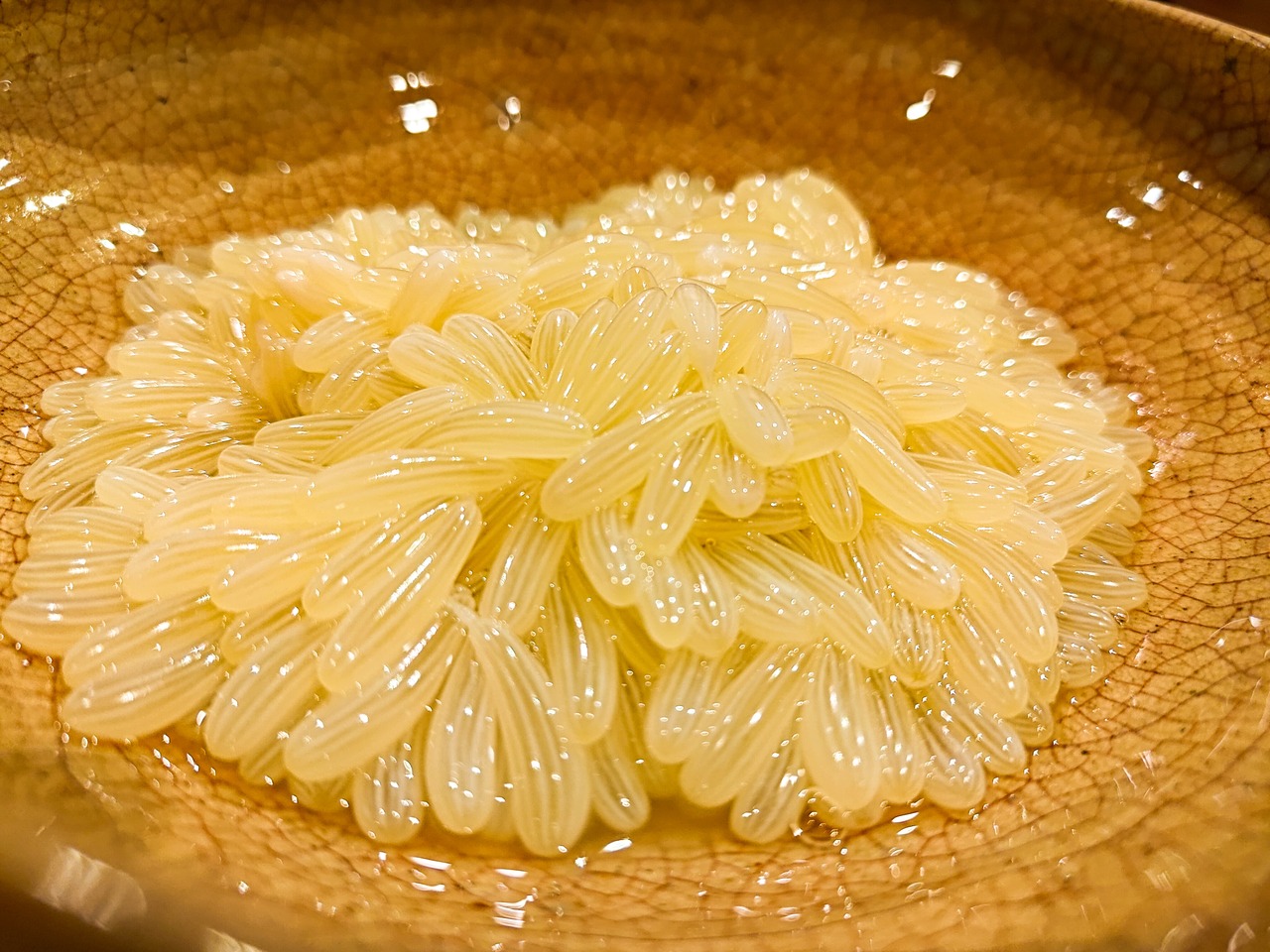 【入手困難珍味】たこまんま/ヤナギダコ卵/サイズバラ/1kg【生】【未冷凍】