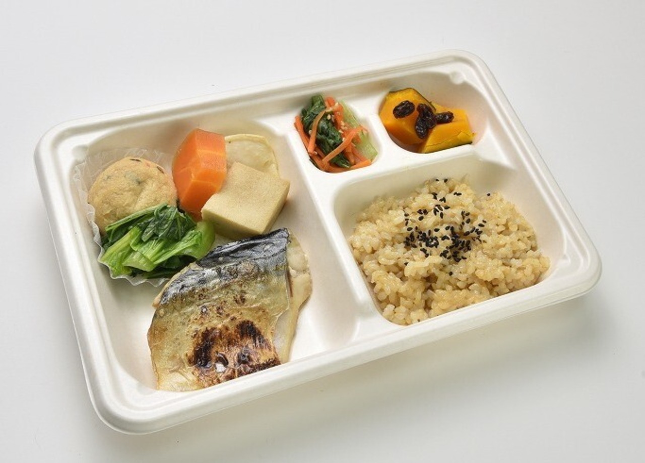 毎月お届け【定期便】　送料無料！12食セット（冷凍）ととのう弁当（6種類×各２食）