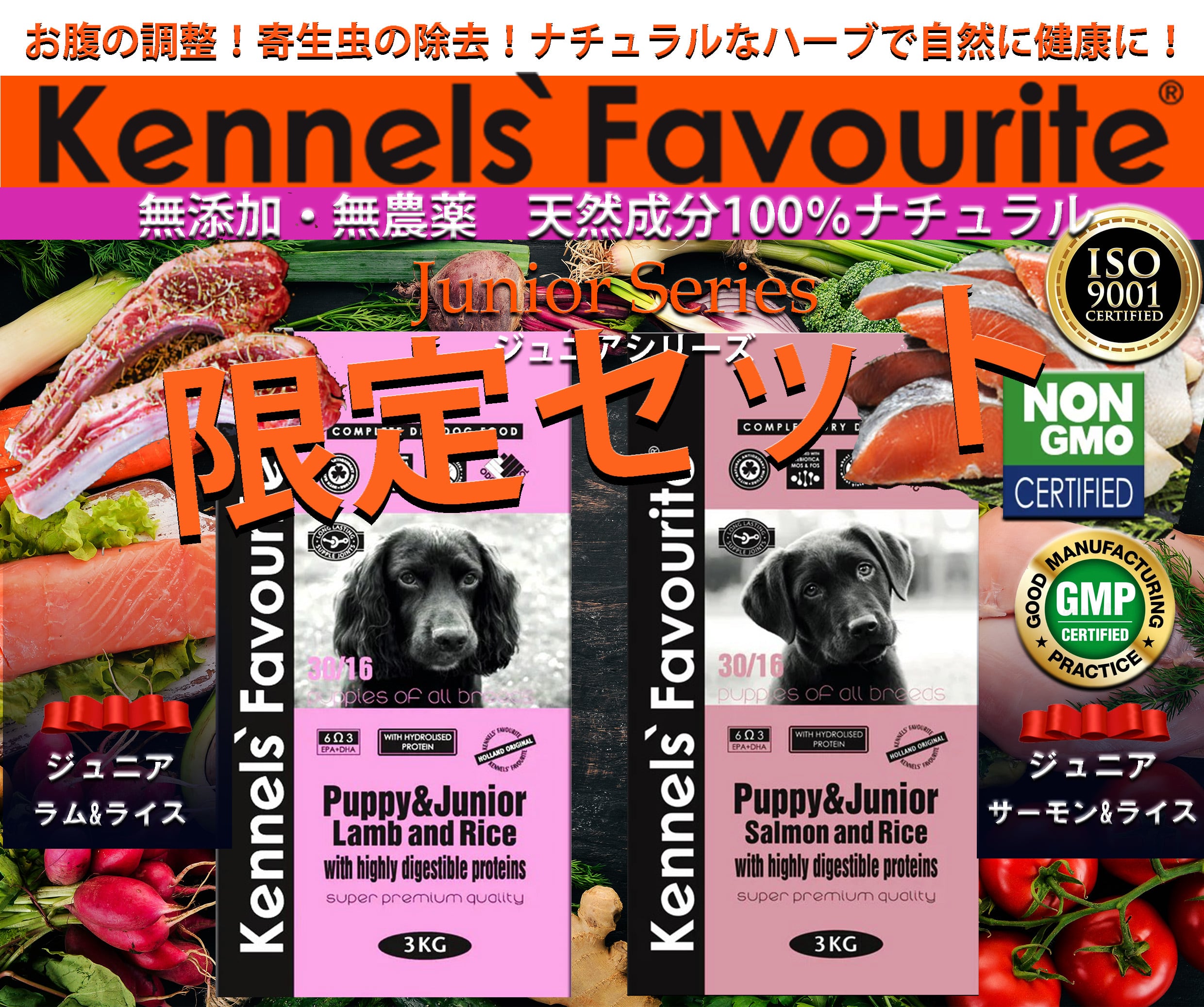 フィラリア・感染症予防・大型犬(30kg前後)・4個セット/アンチ