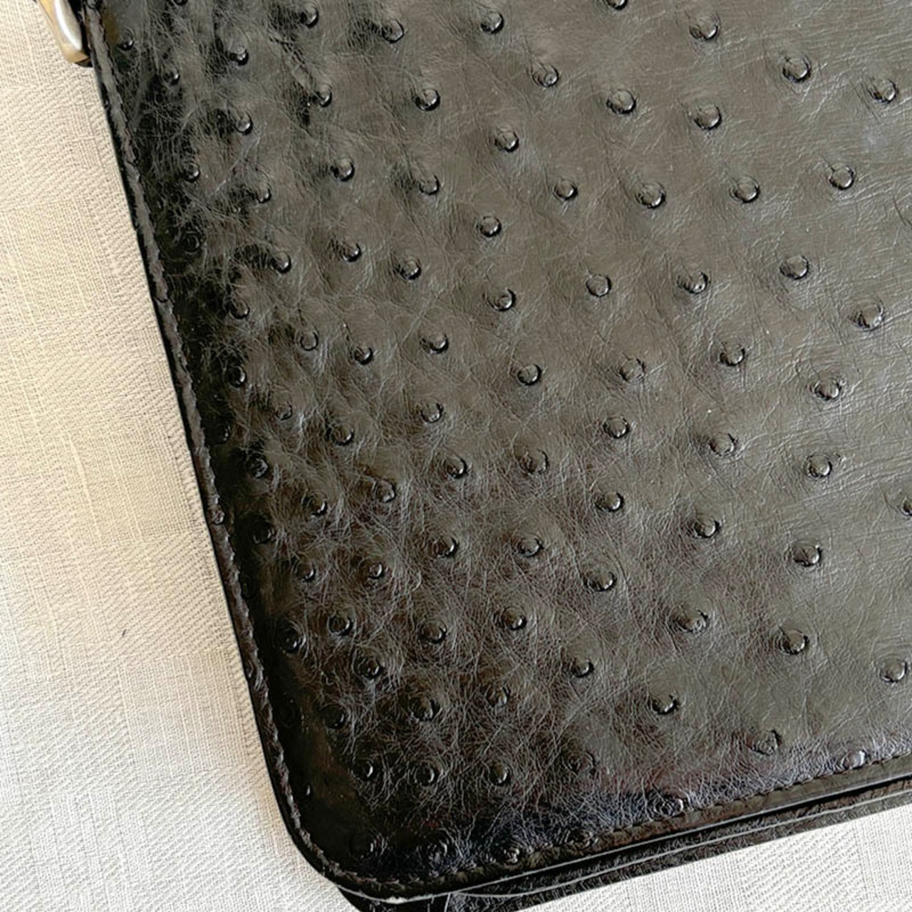 BALLY　ショルダーバッグ　オーストリッチ　ハンドバッグ　ヴィンテージ　17acd25