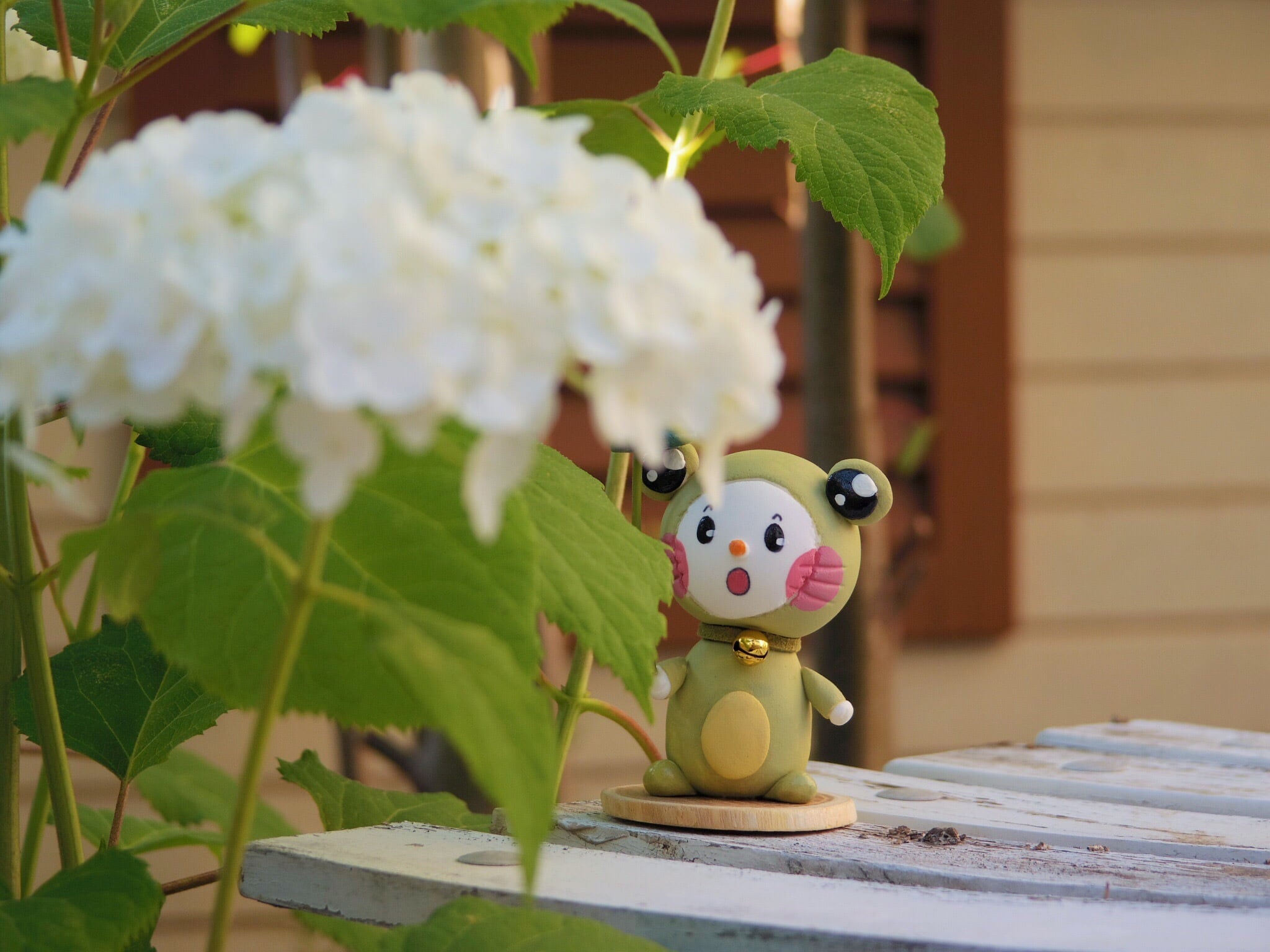 カエル おびちゃん