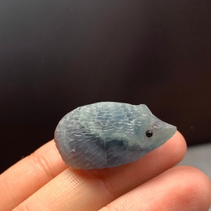 38フローライトハリネズミさん