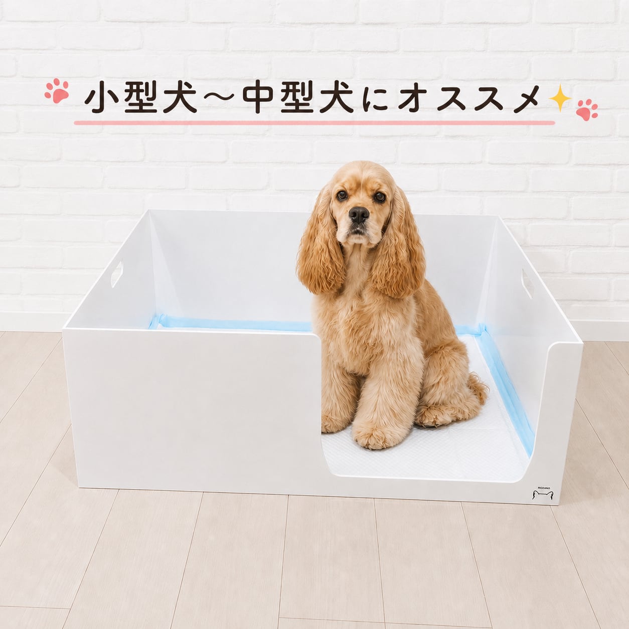 中型犬用トイレ 箱型 ホワイト no.6 | BECOANO