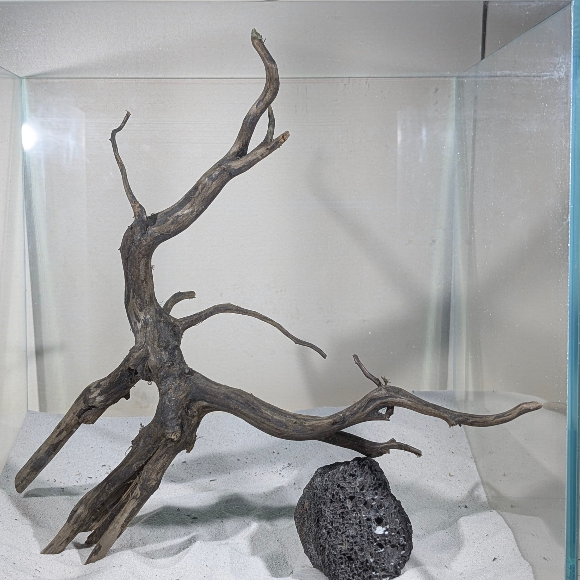 ペットの流木 水宗工房