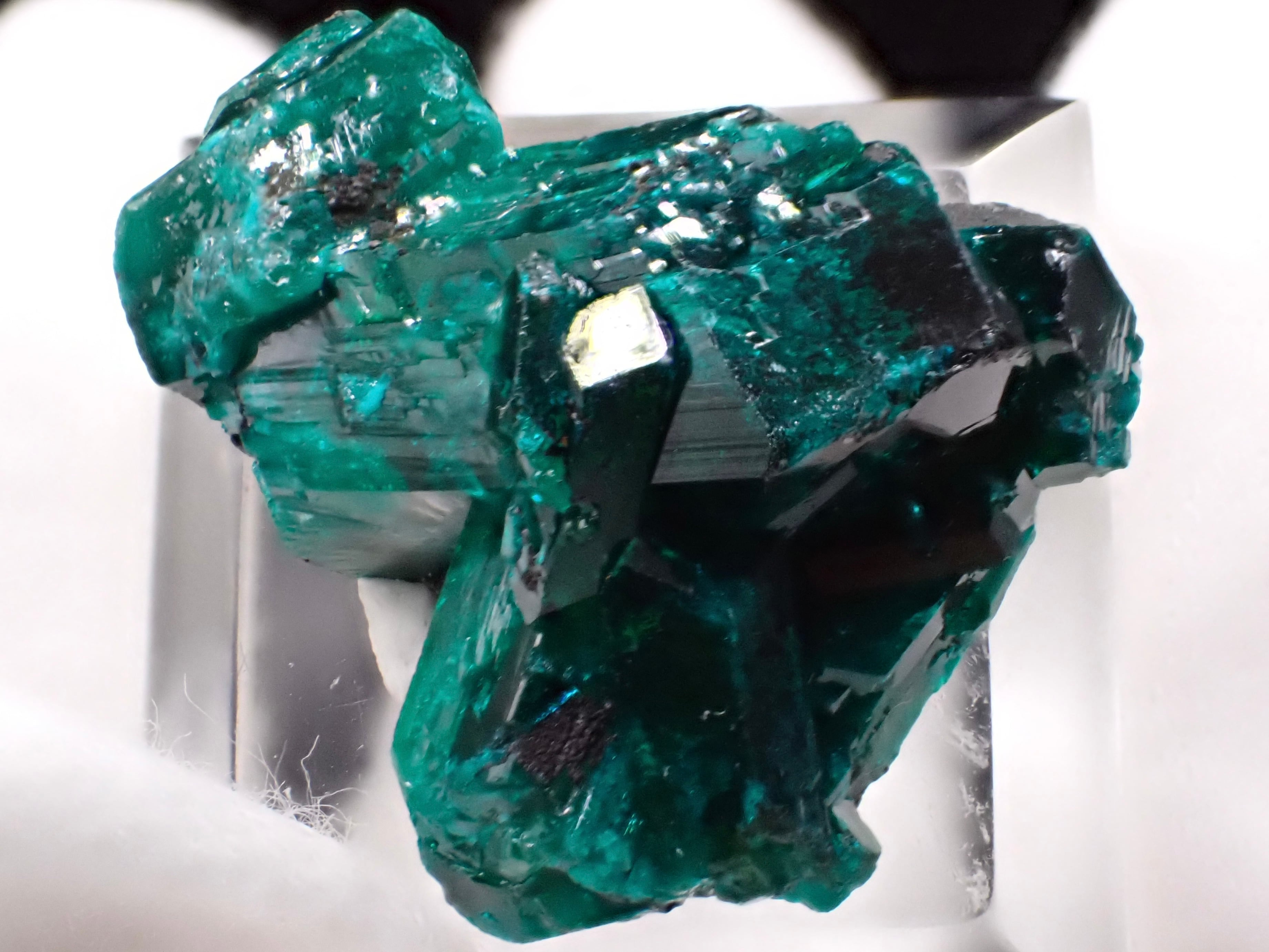 ダイオプテーズ_翠銅鉱〈dioptase〉 265 宝石質 ダイオプテーズ カル