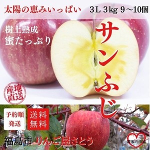 ３kg 箱（約9～10個入り） りんご サンふじ ３L 産地直送 送料無料 12月上旬～順次発送 福島 りんご屋さとう