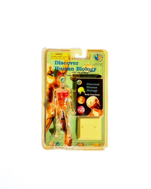 1998 Discover Human Biology Organ Model Human toy