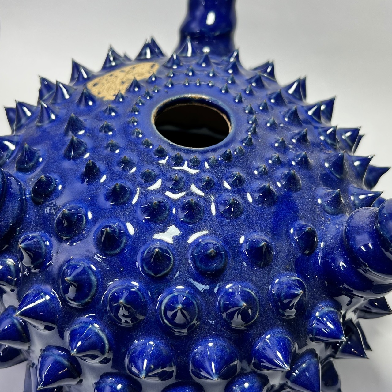 未来薩摩 圭介窯 トゲモノ 大鉢