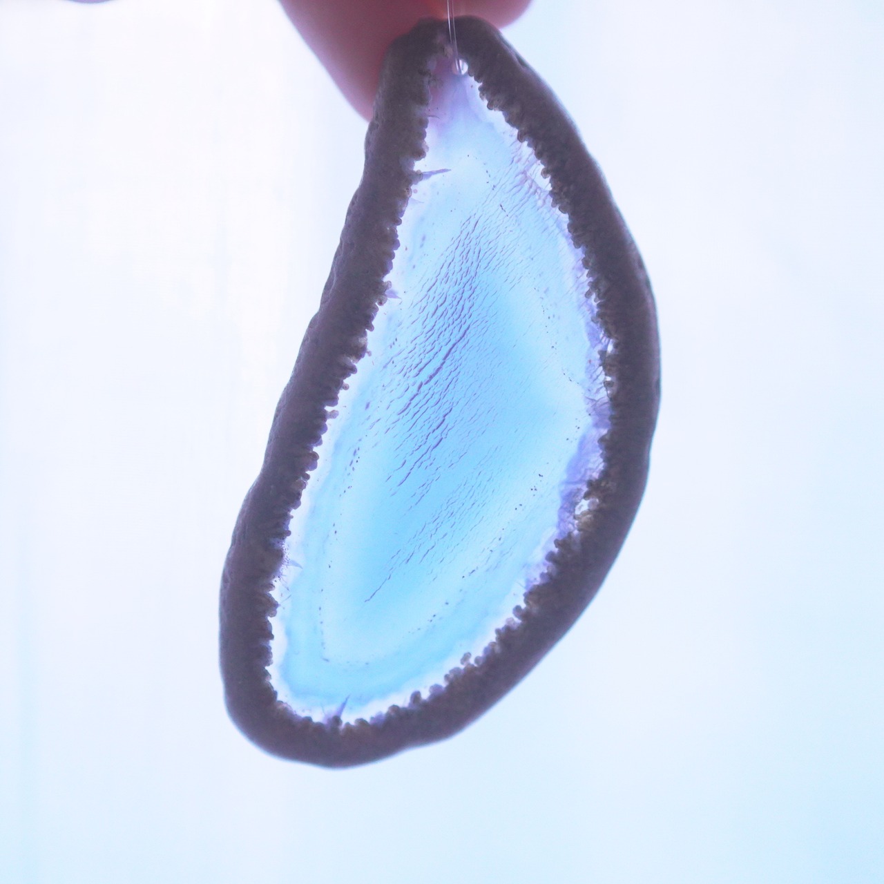 Blue Dream 03 - アゲートヒーリングチャイム / Agate Sun Catcher Wind Chime 265