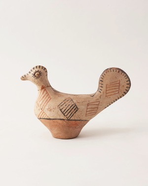 鳥  / Morocco