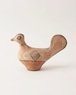 鳥  / Morocco