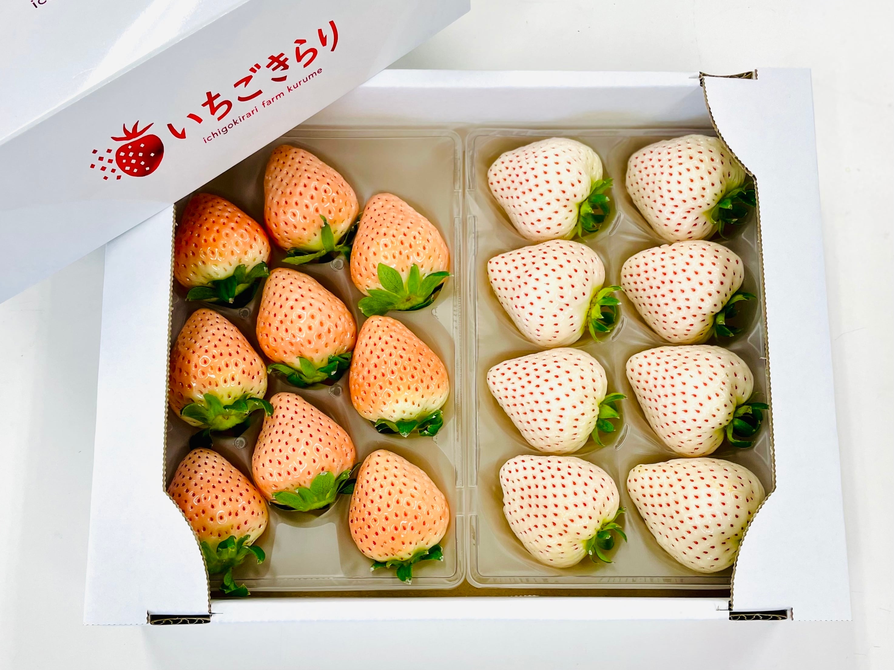 淡雪と天使のいちご(白いちご詰め合わせ)