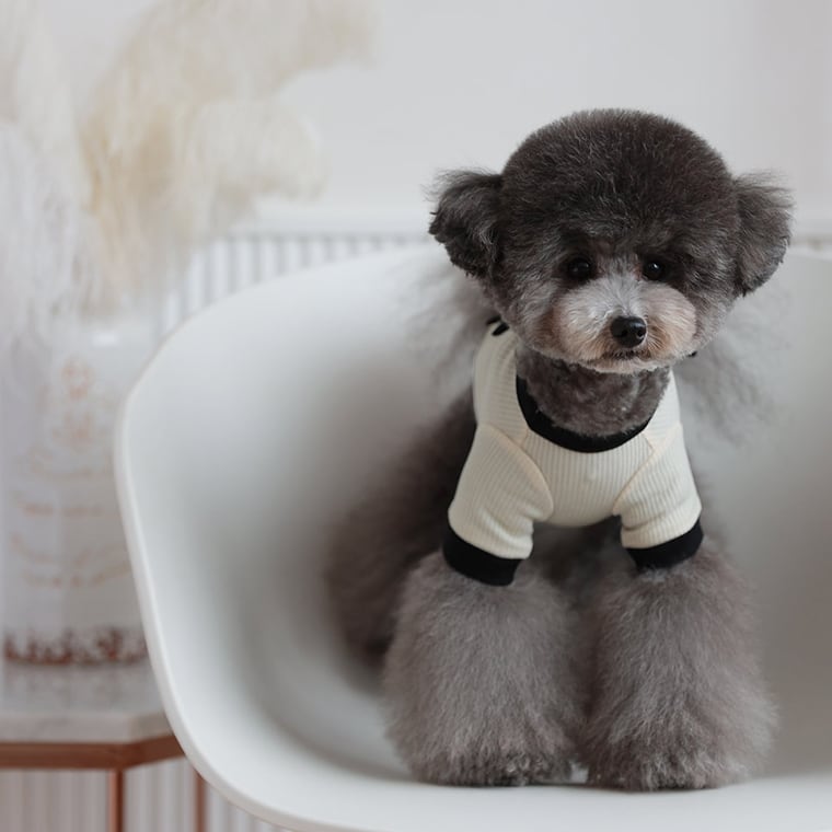 onz ribbon knit t-shirt S ~ XL 4color / 犬服 ニット 可愛い 犬の服 Tシャツ 背中 リボン 重ね着 おしゃれ トップス お揃い ドッグウェア 無地 シンプル 韓国ワンコ服 b54