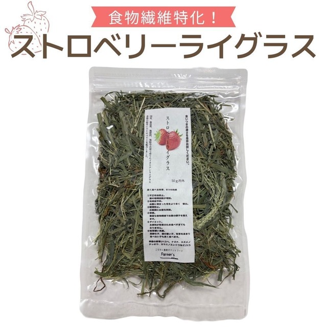 うさぎ牧草　ストロベリーライグラス　50g　国産　無農薬ウサギ牧草