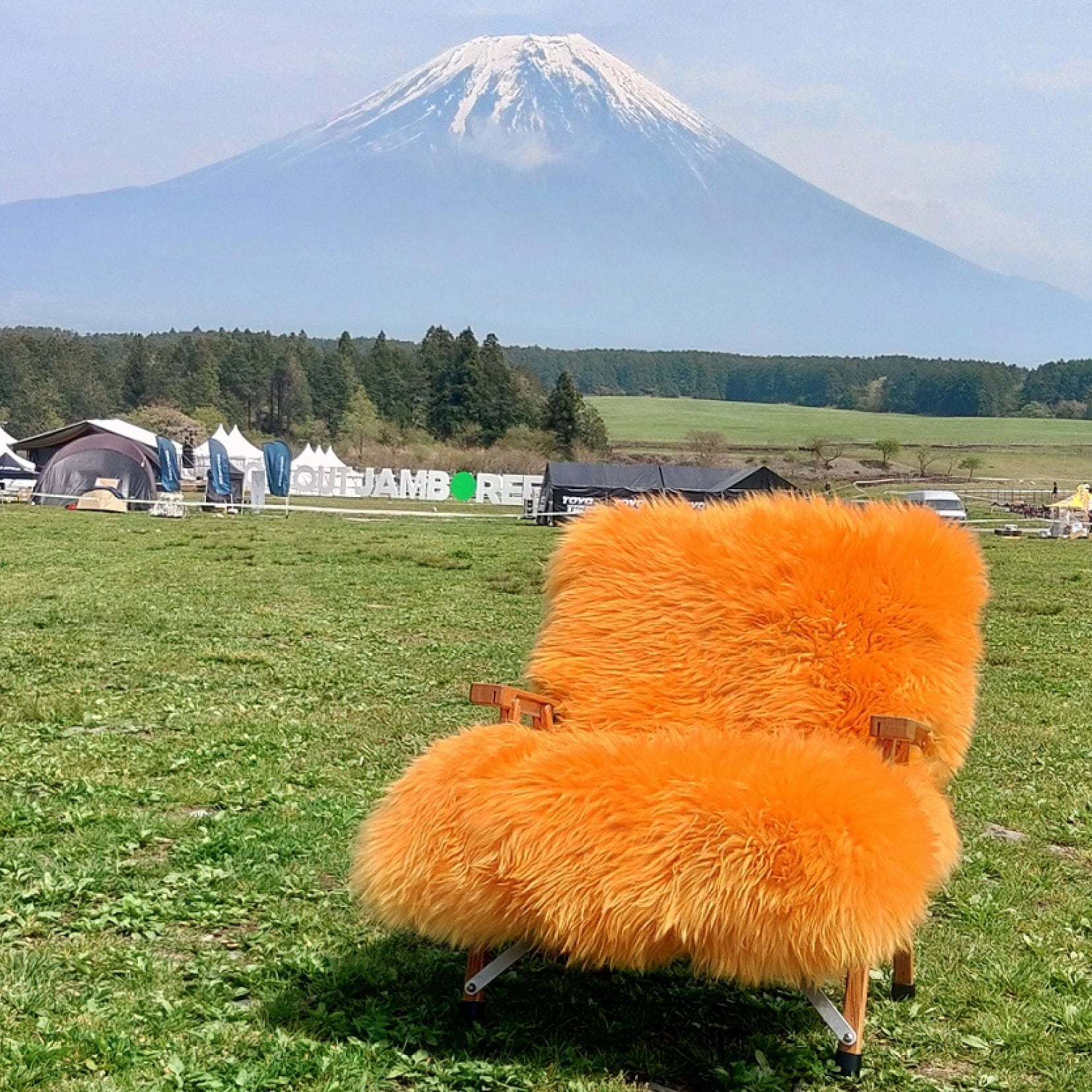 リアルファー（羊）チェアカバーCOL：ORANGE※Kermit Chair規格 | Godisru