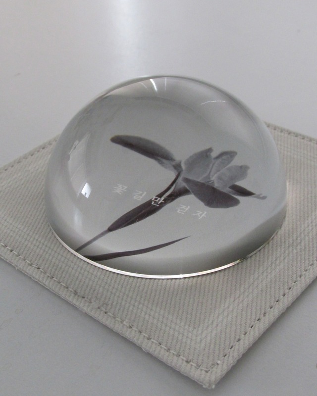 flower/home paper weight