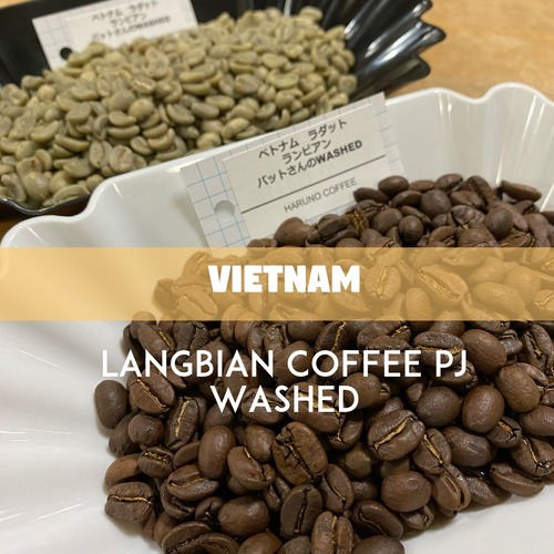 ベトナム　LANGBIAN COFFEE PJ パッドさんのWASHED　100g
