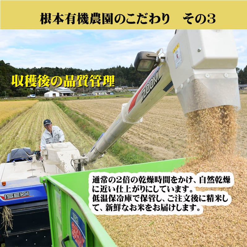JAS有機米 天のつぶ（玄米）10kg | 根本有機農園