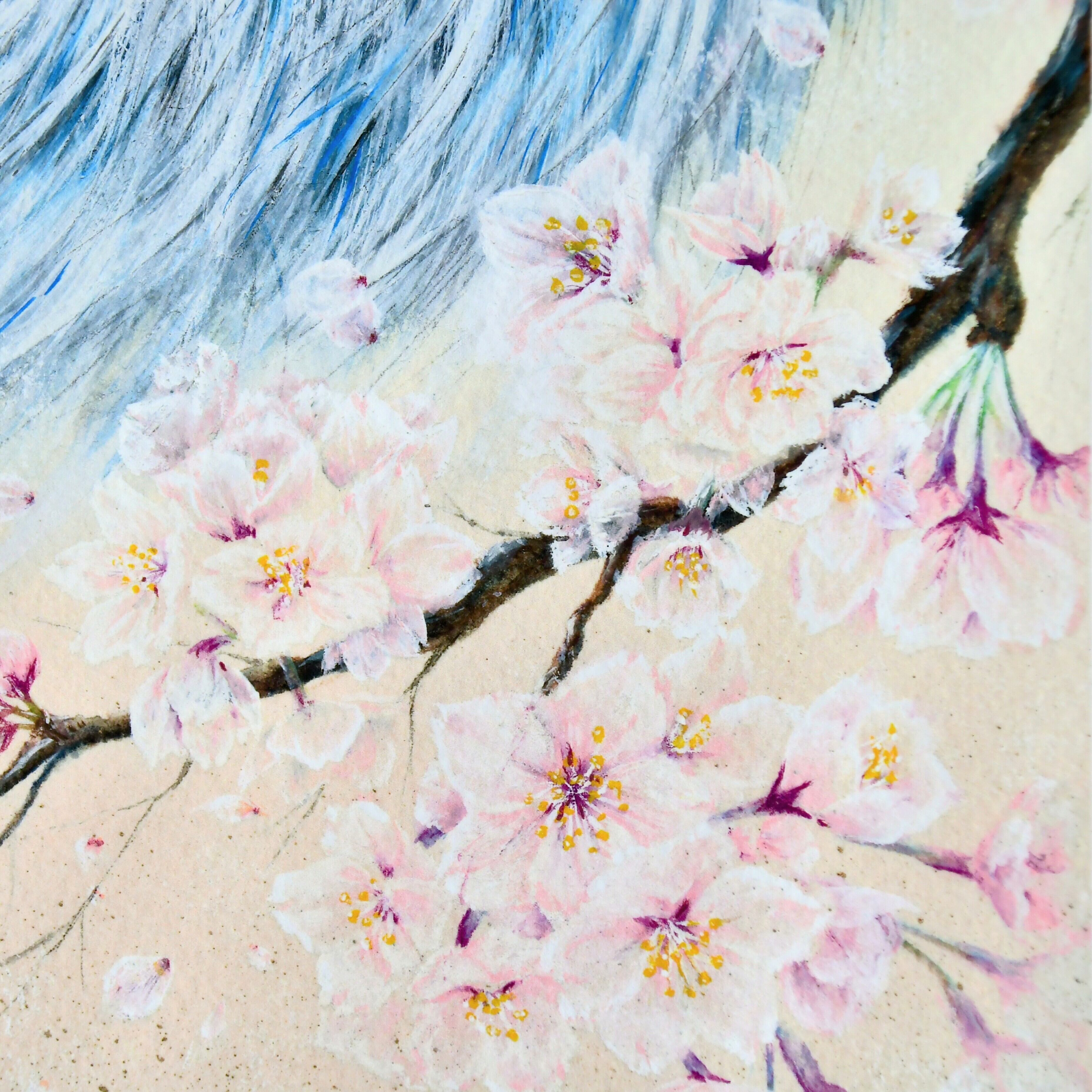 桜を纏うオオカミの絵画：[春愁] （額装なし） | PAY ID