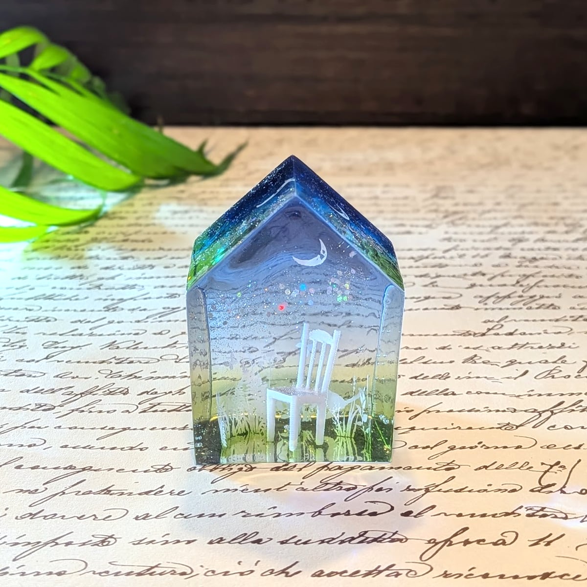 忘れられた庭で猫は蝶と遊ぶ