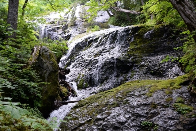 ライタリアンレイ遠隔伝授　クリアリングレイ