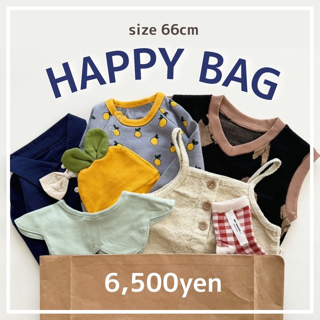 【即納】HAPPY BAG 66cm G003