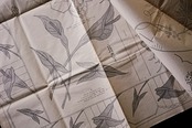 55s フランス LE JOURNAL DES BRODEUSES 手芸と刺繍 新聞c アンティーク