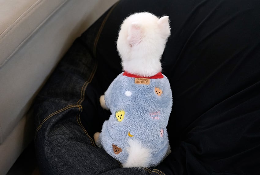 bear fleece all in one S ~ 2XL 2color  /  犬服 秋冬 新作 もこもこ フリース オールインワン 可愛い 犬の服 暖かい ドッグウェア ペット ワンコ服 小型犬 中型犬 猫 ロンパース b60