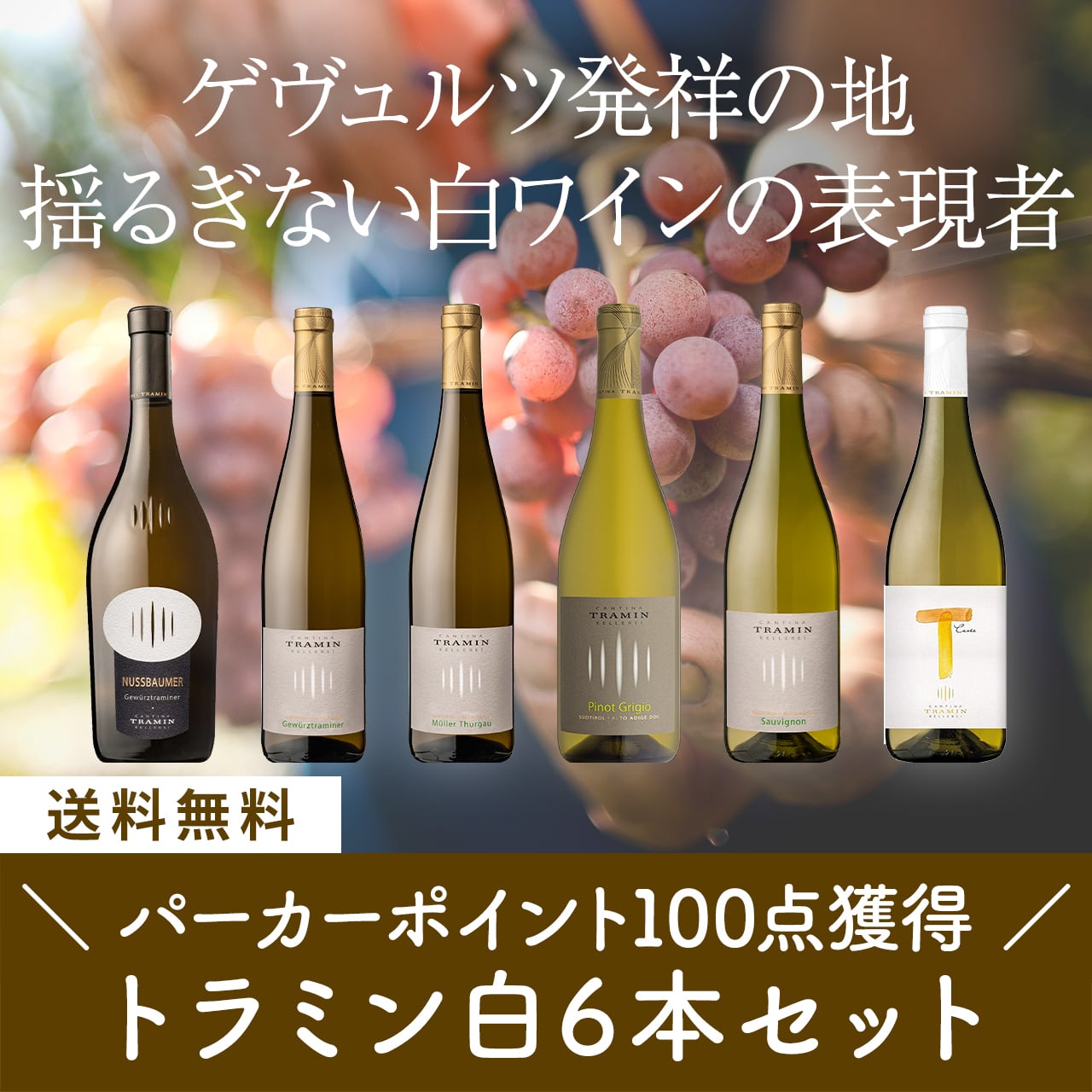 パーカーポイント100点獲得ワイナリー!トラミン白ワイン6本セット〈22%OFF&送料無料〉(B706070)