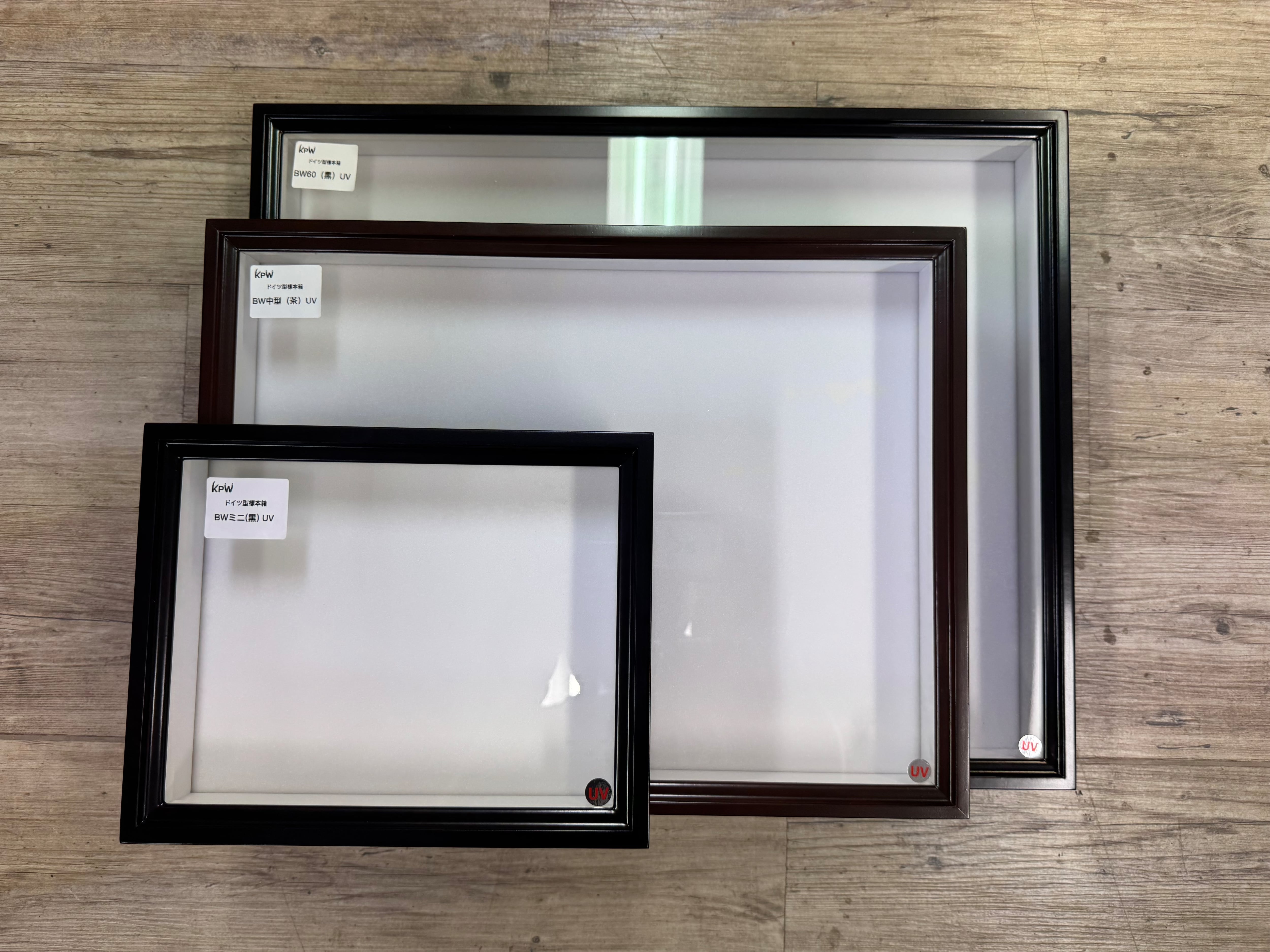 黒】バードウィング製 ドイツ型標本箱 BWミニUVカット仕様 | KPW BASE店