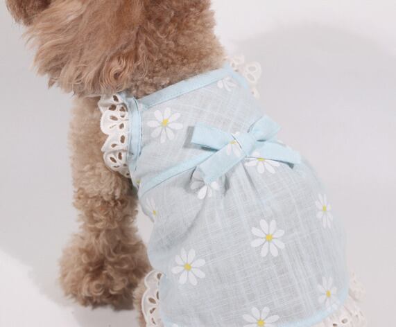 ドッグウェア デイジー柄サマードレス 白 犬服 | ＋DOG online ドッグ
