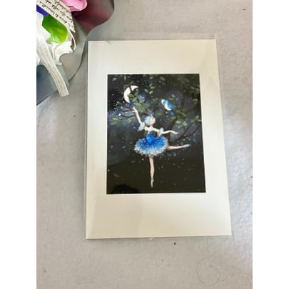 Maya 横山真弥 イラスト ポストカード フロリナ グリーティングカード