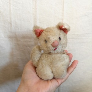 感情が読めないねこ