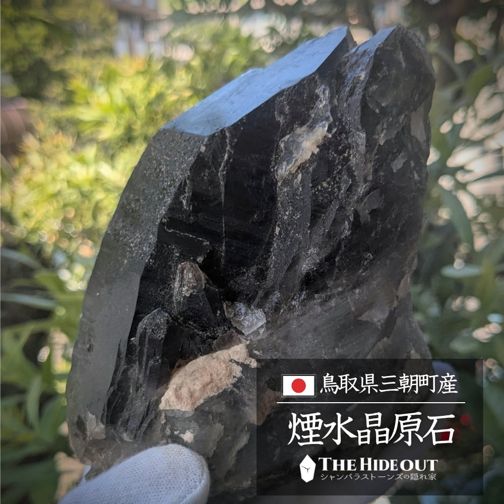 日本国産鉱物標本014 鳥取県三朝町煙水晶(スモーキークォーツ)巨大すぎて笑う、二度と無いでしょう