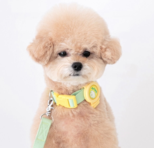 【mooidog】Charmant blue harness (one-piece)