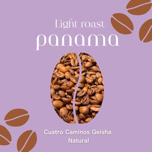 【パナマ】Cuatro Caminos Geisha Natural｜Light Roast-100g