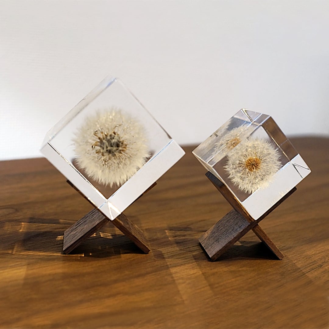 sola cube ソラキューブ　タンポポ 楽天市場】宙-sola- ソラ sola cube TANNPOPO タンポポ 4cm角