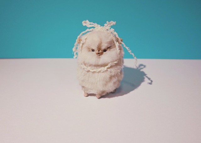 ちいさいポメラニアン