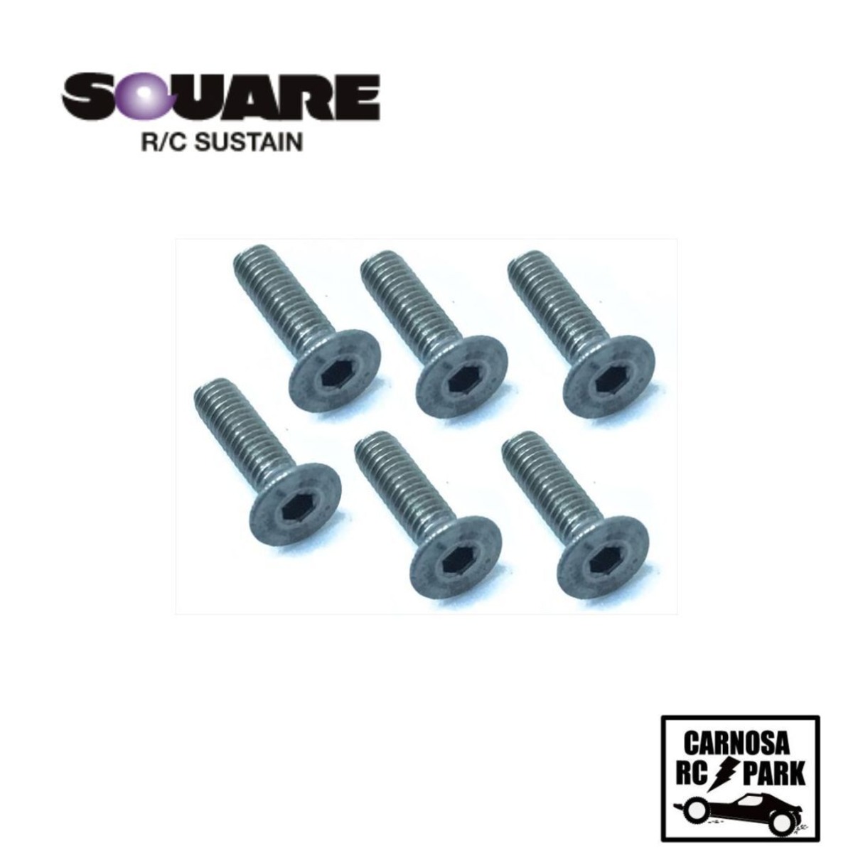 SQUEA スクエア】2.6x10 チタンヘックス皿ビス 6本入 [STR-2610 