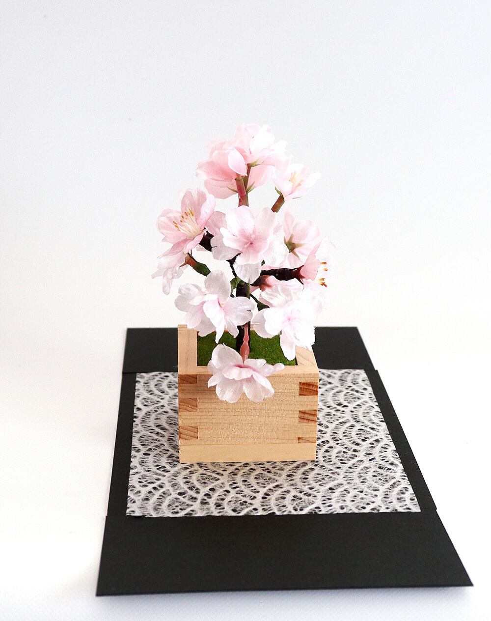 ミニ盆栽＞枡入り桜 雅・MIYABI 日本の春を永遠にお届けします | hana