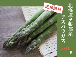 【送料無料・期間限定】北海道夕張群産グリーンアスパラ約500g（L・2L混み）