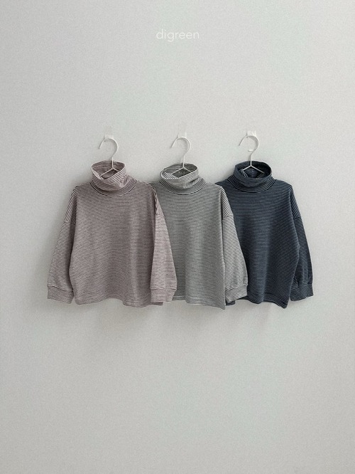 digreen25wn_Loose St Turtleneck
