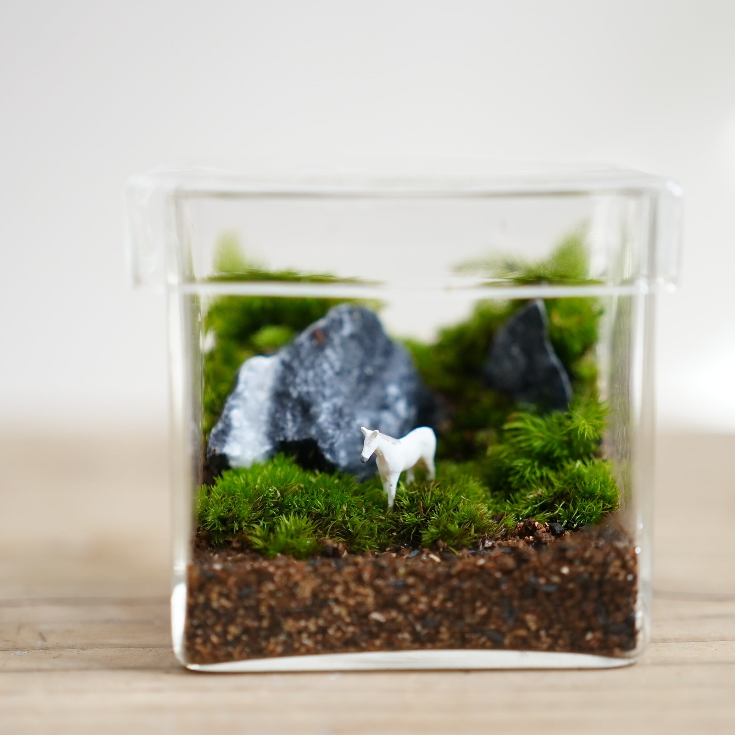 苔テラリウム 白馬の暮らす苔の森 ◇限定作品5.22＃2 | 苔テラリウム