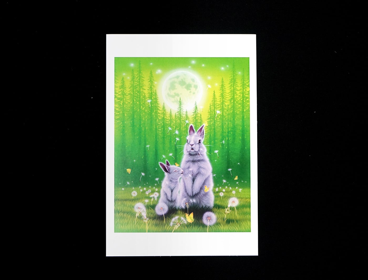 ポストカード「ウサギ」 | 西野健太郎アートショップ