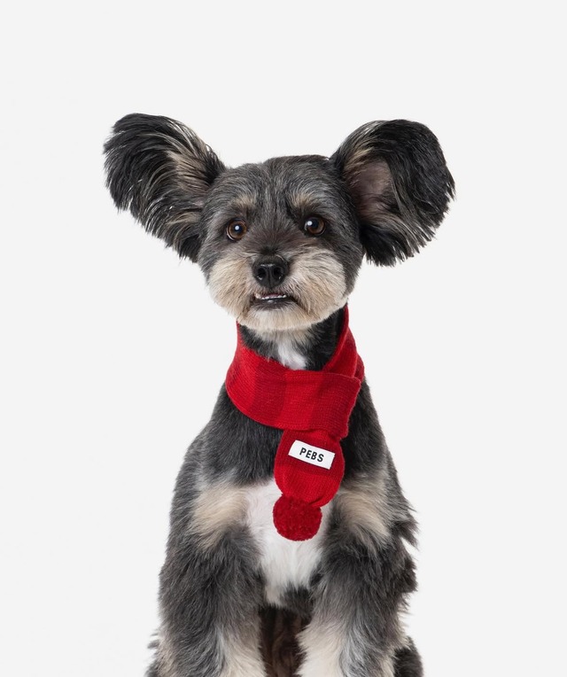 〈即納アイテム〉PEBBLES / WOOL PUPPY POM-POM MUFFLER(RED)