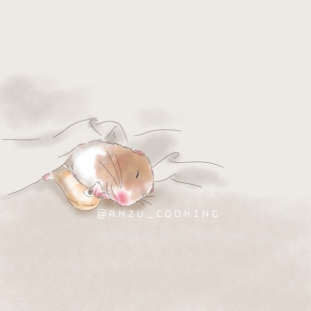 【CD-R】【受注制作/ハム似顔絵/名入れ】似顔絵オーダー　あなたのハムちゃんイラストにします！