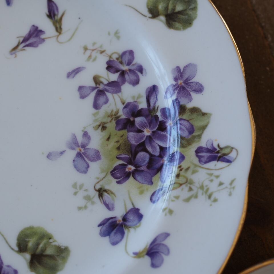B_Hammersley Victorian Violets｜ハマースレイ ヴィクトリアン
