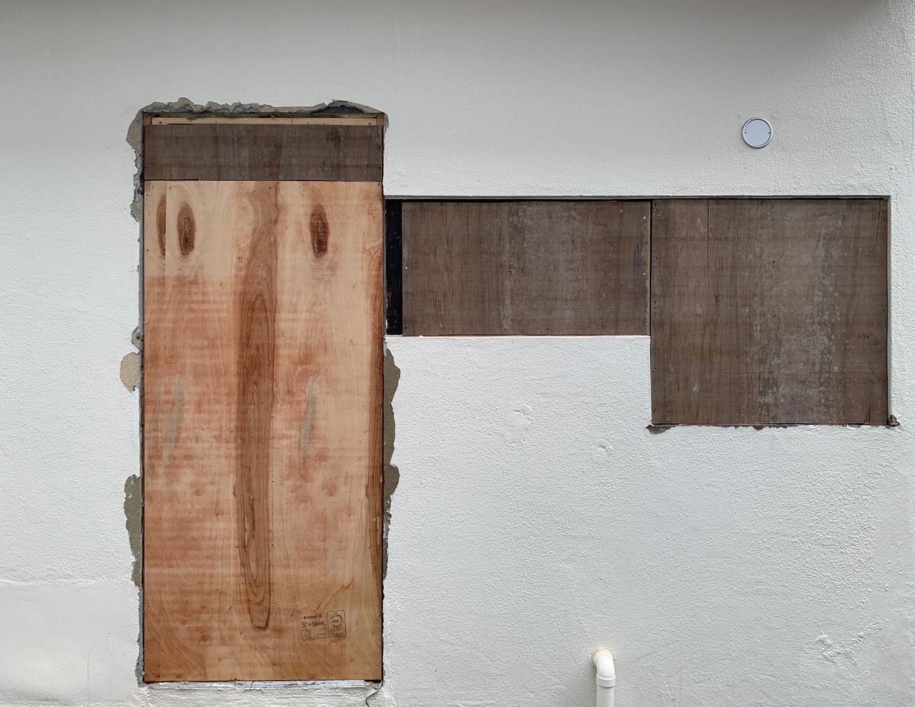 サイ.トゥオンブリーの詩と記憶