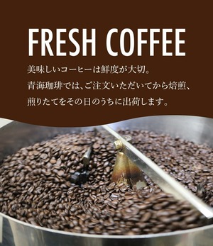 コーヒー 青海スペシャリティ珈琲 ブラジル カラメリッチ S18 500g