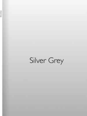 フォトブック『Silver Gray〜under the Ray〜』